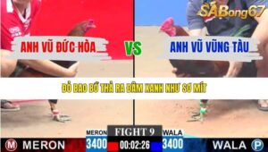 TRẬN 9 CPC3 15/1/2026