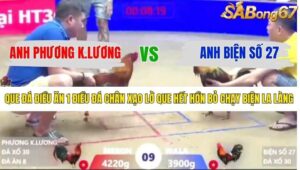 TRẬN 9 XÀ XÍA 6/1/2026