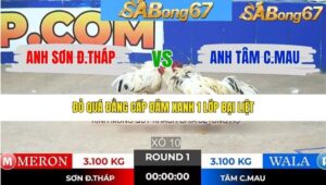 TRẬN 1 TONHON 16/1/2026