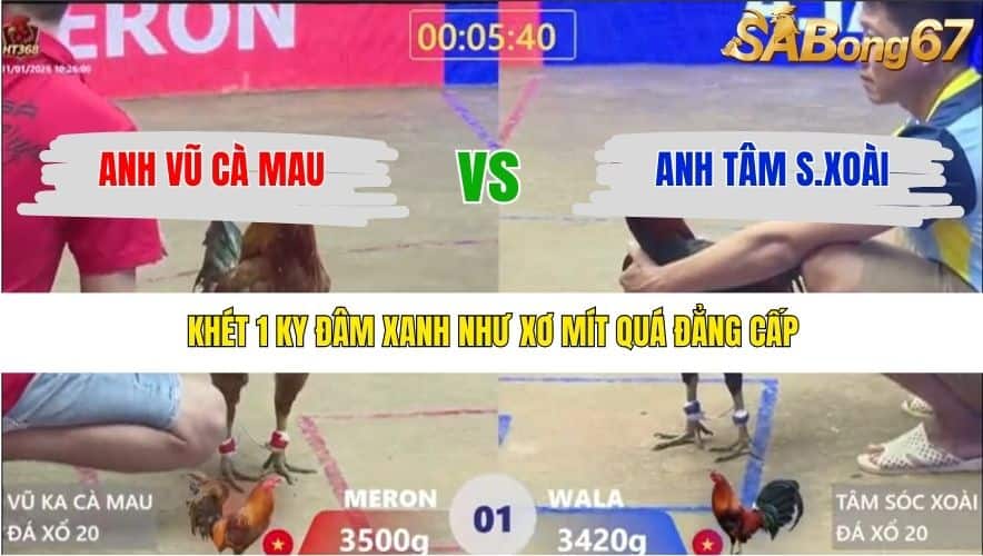 TRẬN 1 XÀ XÍA 31/1/2026