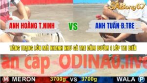 TRẬN 10 CPC5 13/1/2026