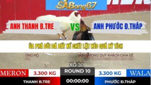 TRẬN 10 TONHON 21/1/2026