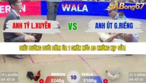 TRẬN 10 XÀ XÍA 13/1/2026