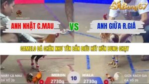 TRẬN 10 XÀ XÍA 19/1/2026