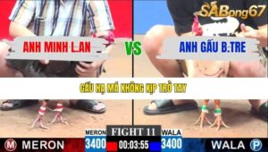 TRẬN 11 CPC3 4/1/2026