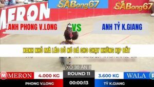 TRẬN 11 TONHON 7/1/2026