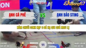 TRẬN 11 XÀ XÍA 1/1/2026