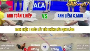 TRẬN 11 XÀ XÍA 10/1/2026