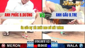 TRẬN 12 CPC3 18/1/2026