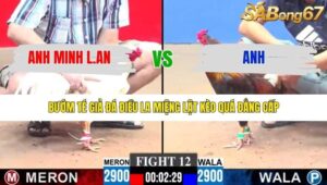 TRẬN 12 CPC3 8/1/2026