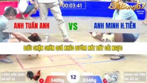 TRẬN 12 XÀ XÍA 9/1/2026