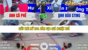 TRẬN 13 XÀ XÍA 1/1/2026