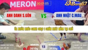 TRẬN 13 XÀ XÍA 10/1/2026