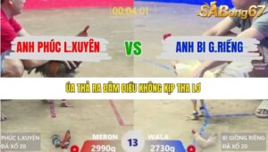 TRẬN 13 XÀ XÍA 13/1/2026