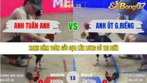 TRẬN 13 XÀ XÍA 16/1/2026