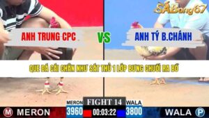 TRẬN 14 CPC3 11/1/2026