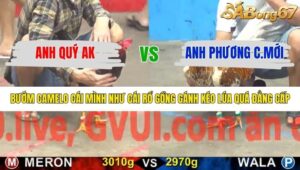 TRẬN 14 CPC5 16/1/2026