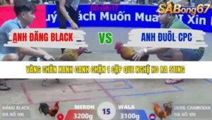 TRẬN 15 XÀ XÍA 1/1/2026