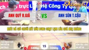 TRẬN 15 XÀ XÍA 9/1/2026