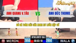 TRẬN 16 CPC3 11/1/2026