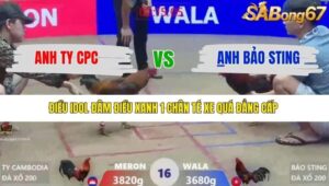 TRẬN 16 XÀ XÍA 1/1/2026