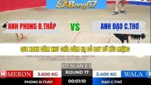 TRẬN 17 TONHON 7/1/2026