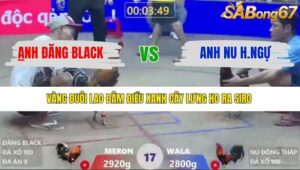 TRẬN 17 XÀ XÍA 1/1/2026