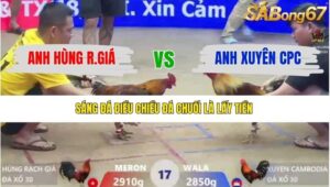 TRẬN 17 XÀ XÍA 13/1/2026