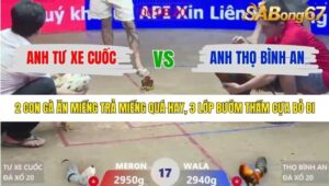 TRẬN 17 XÀ XÍA 19/1/2026