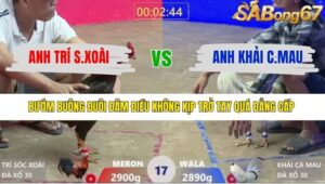 TRẬN 17 XA XÍA 7/1/2026