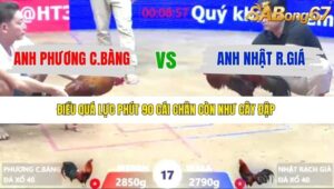 TRẬN 17 XÀ XÍA 9/1/2026