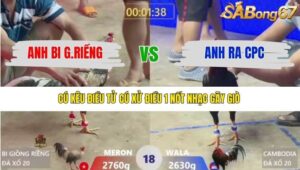 TRẬN 18 XÀ XÍA 12/1/2026