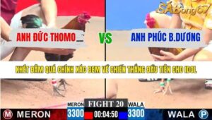 TRẬN 20 CPC3 18/1/2026