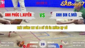 TRẬN 20 XÀ XÍA 10/1/2026