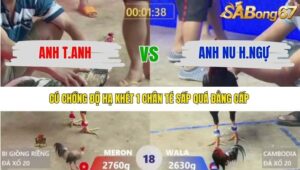 TRẬN 20 XÀ XÍA 12/1/2026