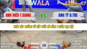 TRẬN 20 XÀ XÍA 21/1/2026