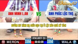 TRẬN 21 CPC3 11/1/2026