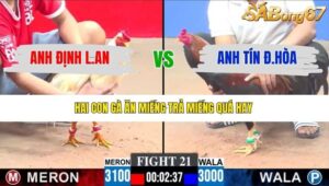 TRẬN 21 CPC3 8/1/2026