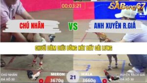 TRẬN 21 XÀ XÍA 16/1/2026