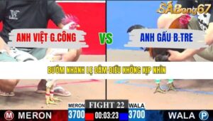 TRẬN 22 CPC3 18/1/2026