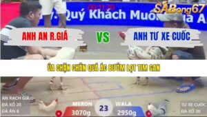 TRẬN 23 XÀ XÍA 19/1/2026