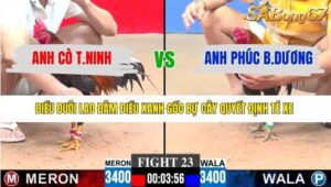 TRẬN 23 CPC3 18/1/2026