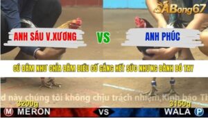 TRẬN 23 CPC4 13/1/2026