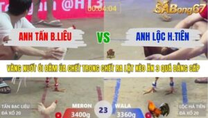 TRẬN 23 XÀ XÍA 16/1/2026