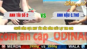 TRẬN 24 CPC5 16/1/2026