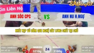 TRẬN 24 XÀ XÍA 12/1/2026