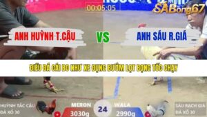 TRẬN 24 XÀ XÍA 19/1/2026