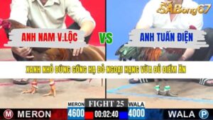 TRẬN 25 CPC3 11/1/2026