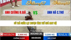 TRẬN 26 TONHON 13/1/2026