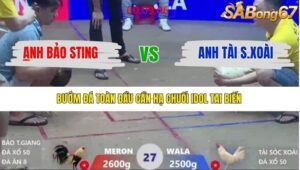 TRẬN 27 XÀ XÍA 1/1/2026